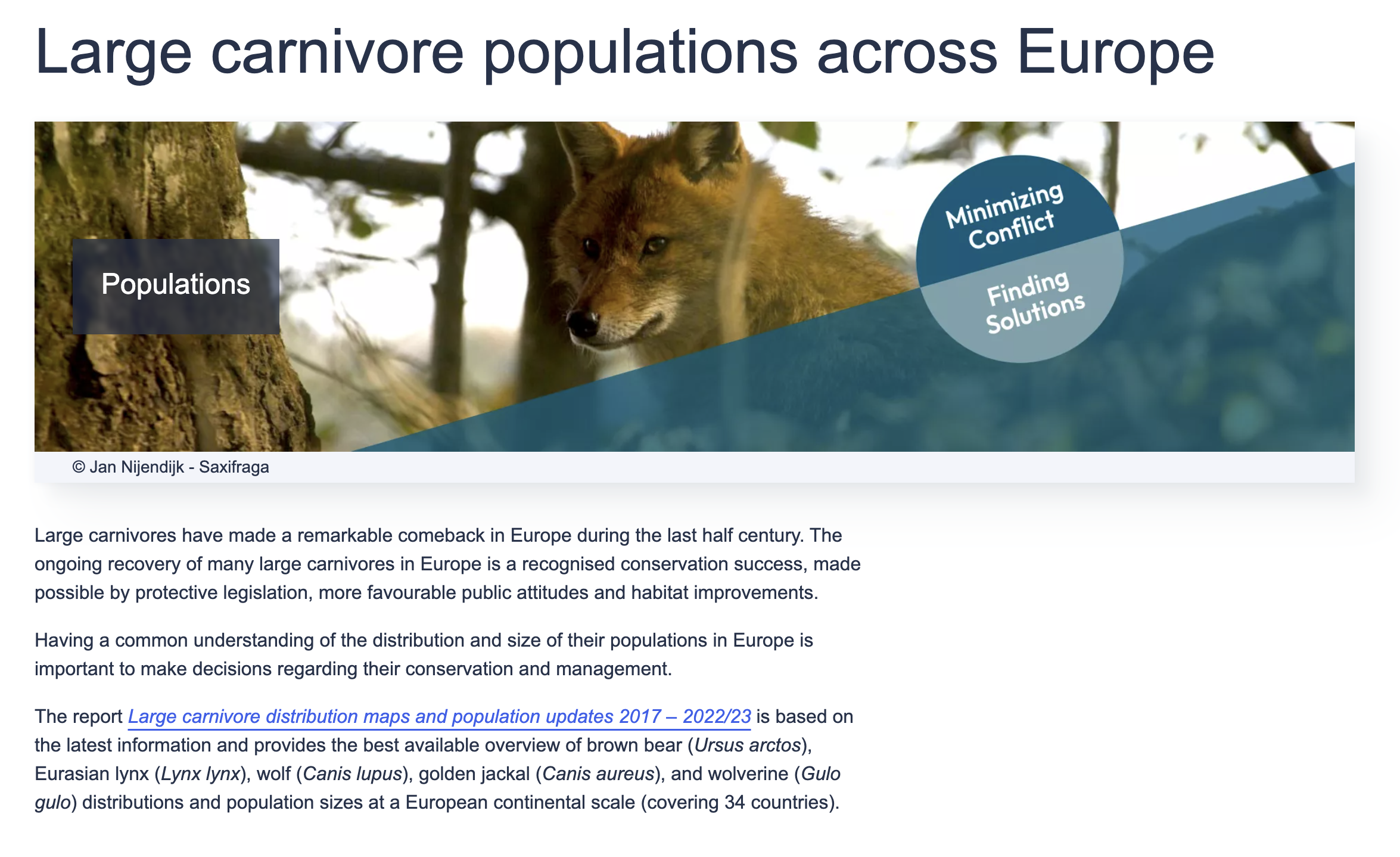 Large carnivore populations across Europe